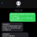 울산광역시 야생동물구조센터 | 로드킬 신고 방법 총정리│120 문자 신고 후기와 실제 처리 과정