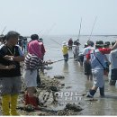 풍도_어촌체험마을 이미지