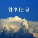 ♬ 멋진남자 - 강세미 ♬ 이미지