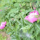 미래농장 이미지