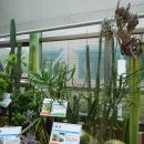 안산 식물원 이미지