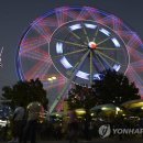 The fair w 이미지