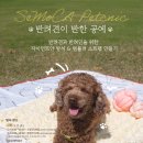 햇살공예 네이버블로그