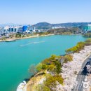 대구부수성비 이미지