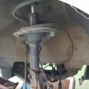 형제카독크 이미지