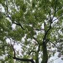 새빛발전소 이미지