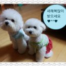 복 이미지
