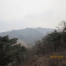 보련산 농장 티스토리