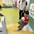 녹색의 추억 이미지