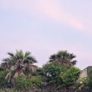 아끈두베 이미지