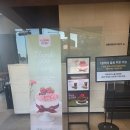 몽블랑헤어 | [듀레베이커리] 청주 테크노폴리스 맛집 '듀레베이커리': 소금빵 몽블랑 / 빵 나오는 시간 정보