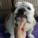 비에이비 이미지