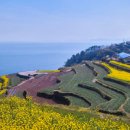 스테이다옴 이미지