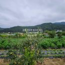 속초1리 경로당 이미지