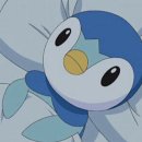 하늘반점 이미지