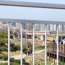 조천 산책로화장실 | 세종 벚꽃 명소 조치원 조천변 벚꽃길 주차 단점 개화