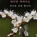 바이오큐 이미지