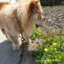 에스겔-푸름농장 이미지