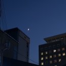 베이스언유즈 네이버블로그