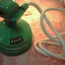 황제쑥뜸기 이미지