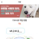 강아지 공화국 이미지