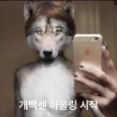 4월 구매 리스트 ,,(산산기어 블락 셔츠&카고 팬츠, 네임세이크 라마팬츠, 엑슬림 시퀀스 트라우져...