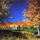 언덕위의집 이미지