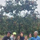 종수농장 이미지