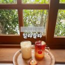 영주세무서 | 영주 사과전문 카페 밀라플라 내돈내산