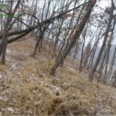 연천군 군남면 황지리