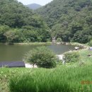 용연낚시터 이미지