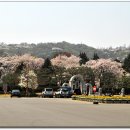 무명용사 기념탑 이미지