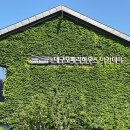 홀라우스 이미지