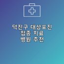 고은미래의원 | 덕진구 대상포진 접종 및 치료 병원 안내 잘하는곳 후기 TOP5 비용 후기