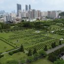 부산 남구청 이미지