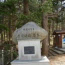 이승복기념관 Daum카페
