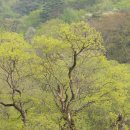 보문장여관 이미지