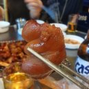 웰빙포차 - 옥천군 금장로 47-4 | 웰빙포차