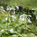 온유정원 이미지