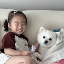 북스타문구 | 원주 단계동 서점 북스타문고 방문 후기ㅣ만 2세 어린이 성교육 도서 구매