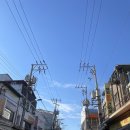명희네만세회센타 | 포항 죽도시장 횟집 내돈내산 회포장 만세8번 명희네