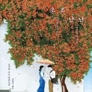 이토코리아 이미지