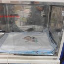 아쿠아동물병원 이미지