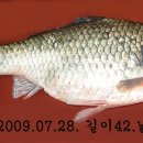 중동면 우물리 이미지