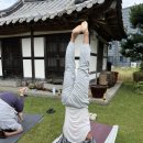유림-1083 | [당진요가] 한옥 야외요가 x 스냅 원데이클래스 후기