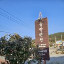 솔밭펜션 | 보길도 솔밭펜션 201호후기