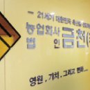 한우사랑미트