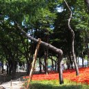 인제대역 부산방향 이미지