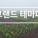 에코농장 | 제주가족여행 필수코스! 제주동쪽가볼만한곳 에코랜드테마파크 후기