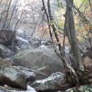 한농유기농 건강체험마을 이미지